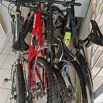 Przebisnieg *