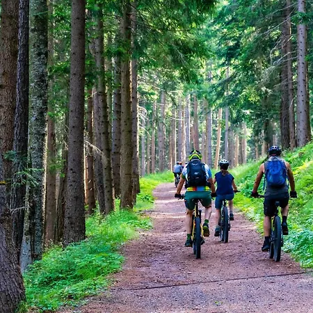 Przebisnieg Appartement