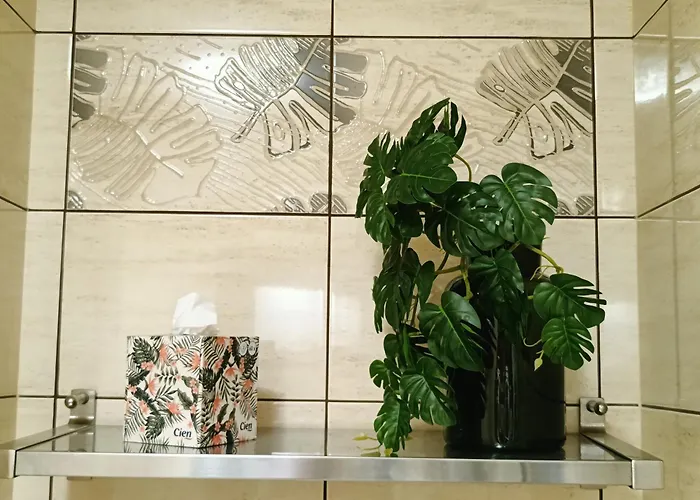 Przebisnieg * Polanica-Zdroj