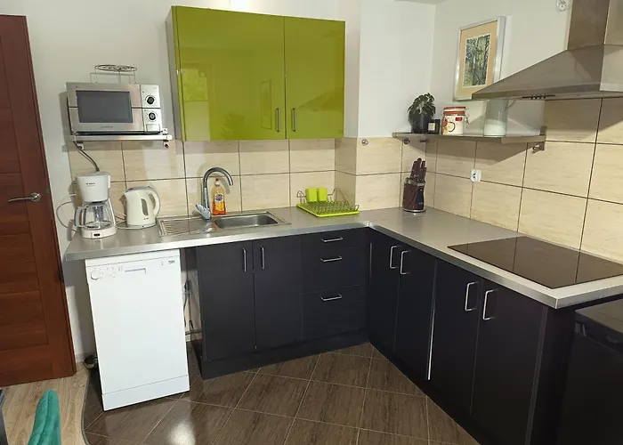 Apartment Przebisnieg *