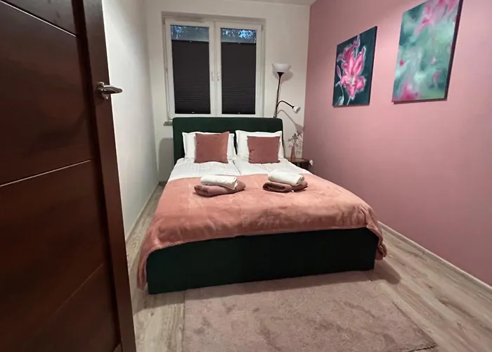 Apartment Przebisnieg *